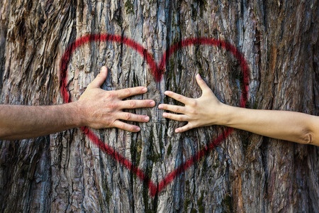 illustration of hands hugging tree symbolizing love for nature